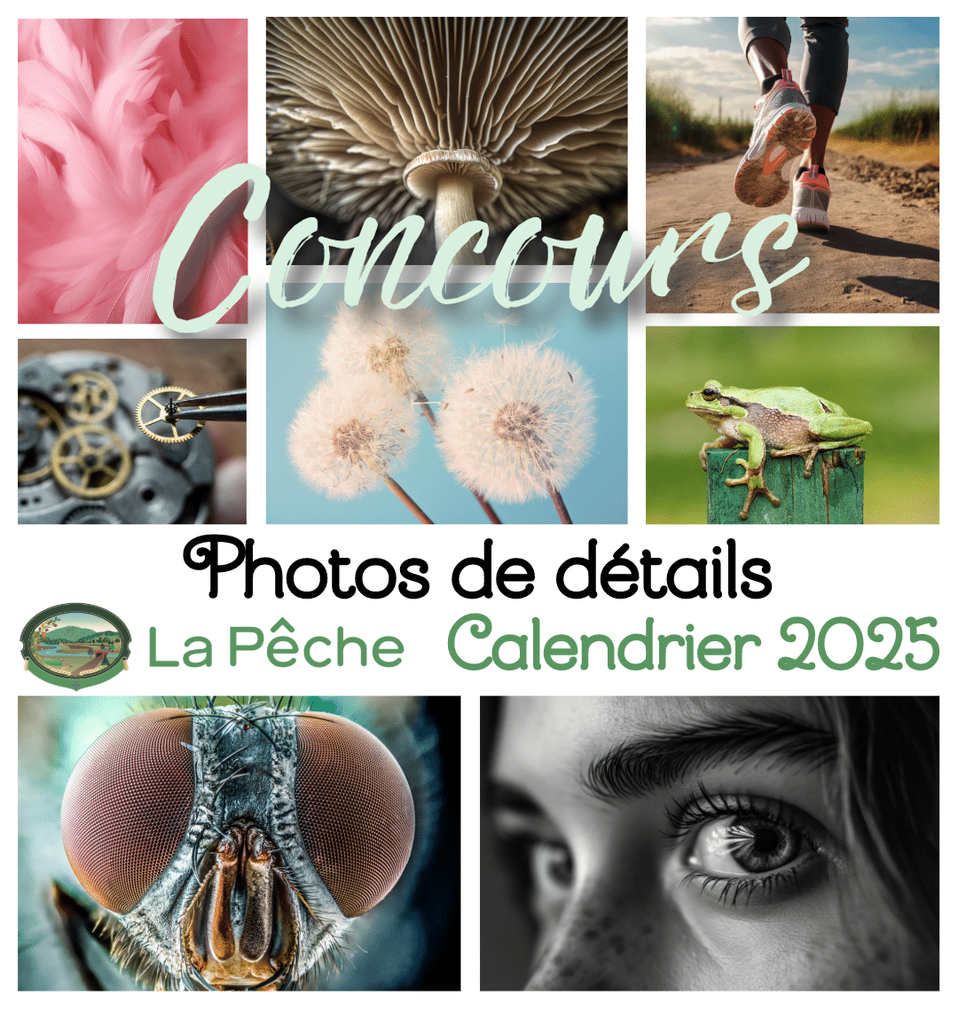 Voir le monde d’un autre œil 🌍 1 CONCOURS PHOTOS 2025