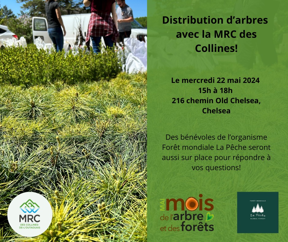 Distribution darbres MRC des collines Chelsea 22 mai 2024