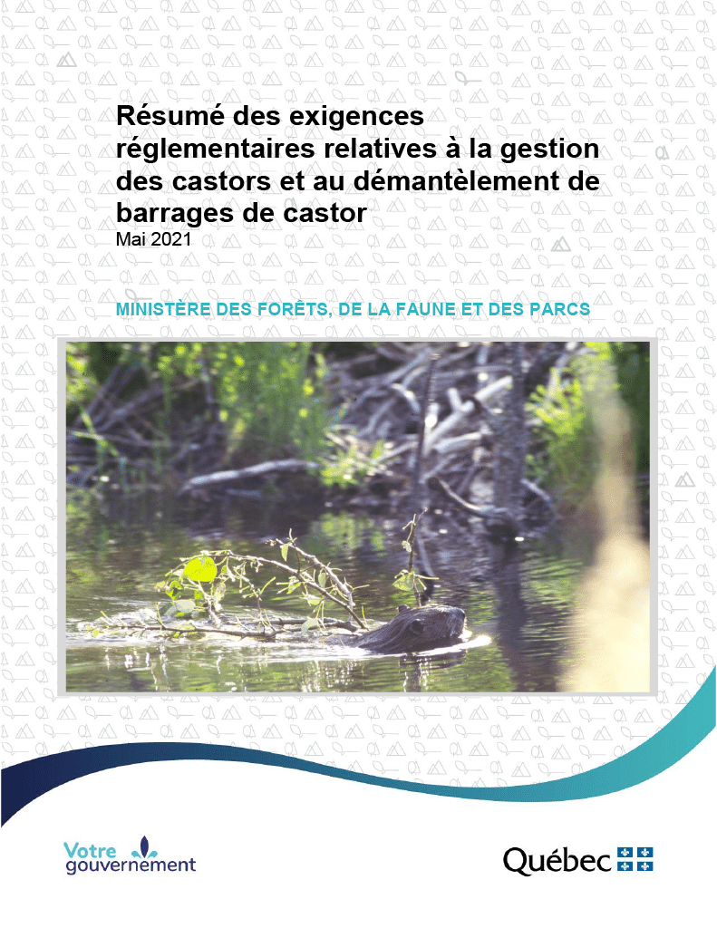 Animaux 18 resume castor melccfp