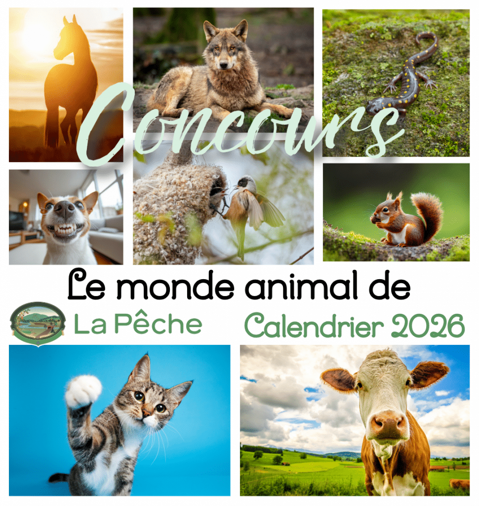 CONCOURS PHOTOS 2026 1