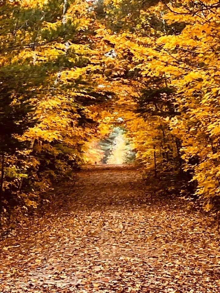 Donna Harrison Lac Philippe