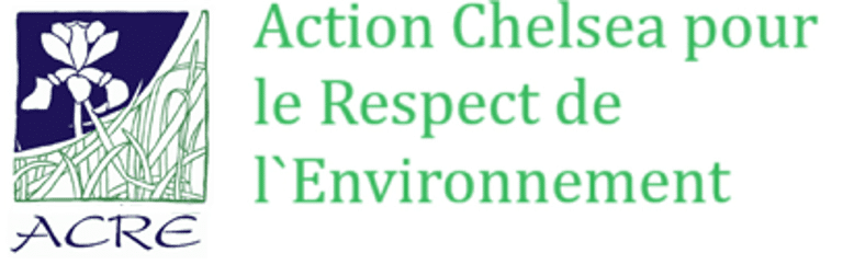 action chelsea respect environnement