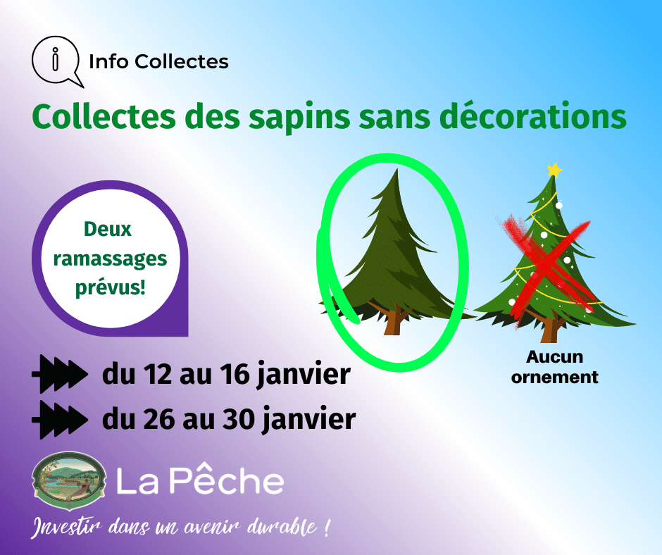 Collecte des Sapins sans decorations 2026