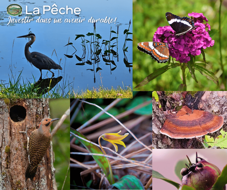 biodiversite 2026
