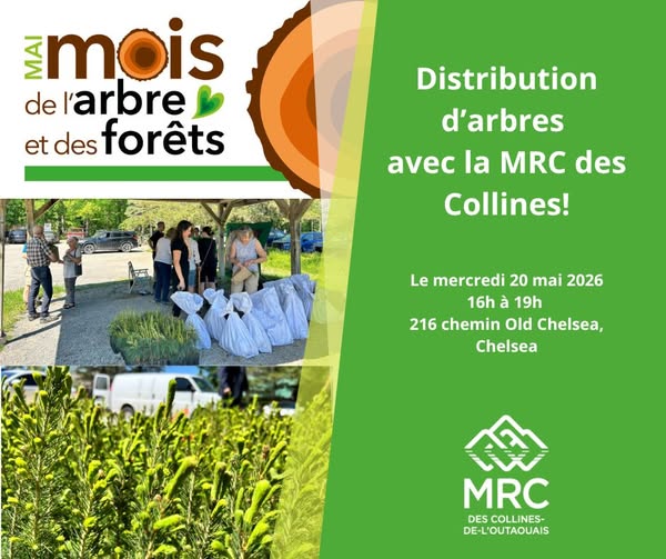 MRC mois de larbre
