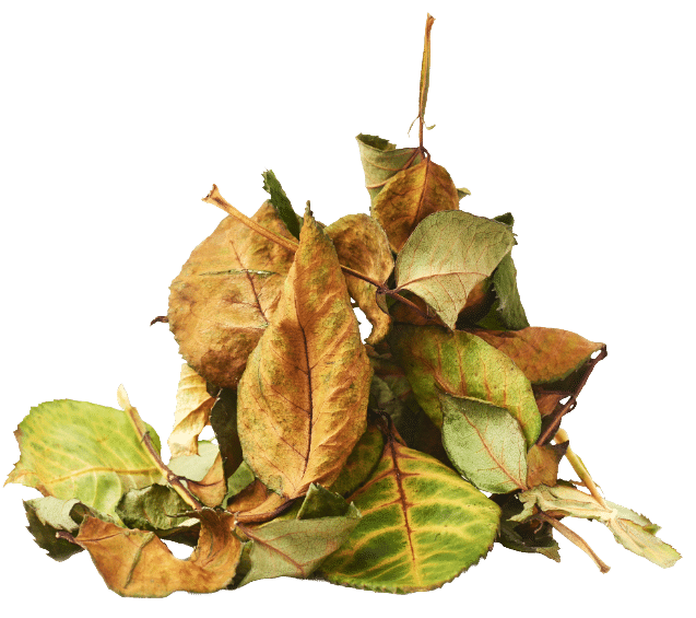 Consommer, recycler, réutiliser, récupérer, comment s'y retrouver! 4 feuilles