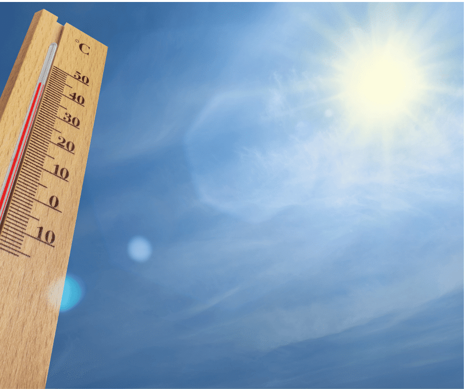 canicule chaleur
