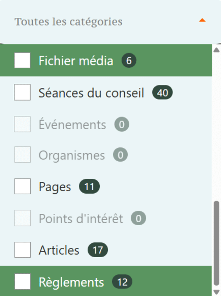 filtres recherche Web