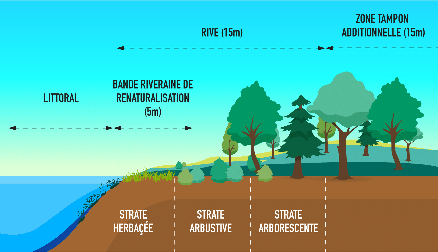Milieux humides, hydriques et bandes riveraines 1 bande protection riveraine